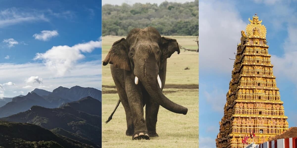 Beyond the South Coast: Finding the "Hidden" Sri Lanka in 2026