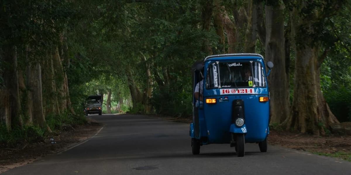 Cover image for Confessions of a Sri Lankan Traveler: The Plain Truth About Tuk-Tuks
