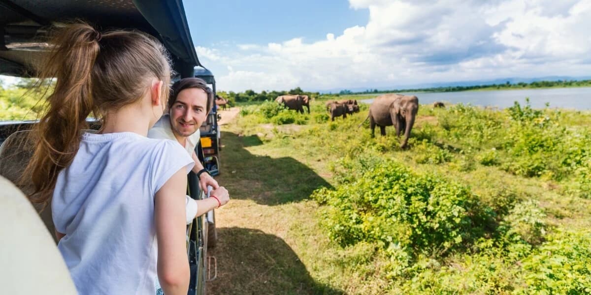 Cover image for Sri Lanka Wildlife Safari Guide: Where to See Leopards, Elephants & Blue Whales
