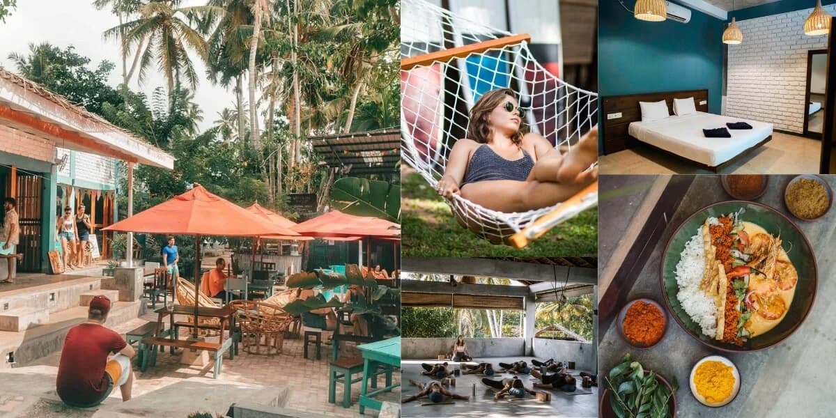 Cover image for Sri Lanka Luxury Travel Guide: Boutique Hotels, Private Safaris, Tea Bungalows & Barefoot Beach Escapes